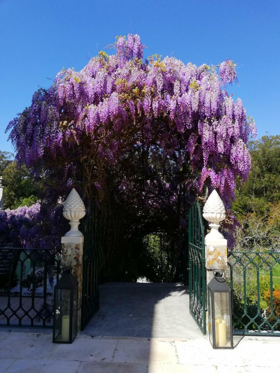 Hotel Casa Holstein Quinta De Sao Sebastiao Sintra Zewnętrze zdjęcie